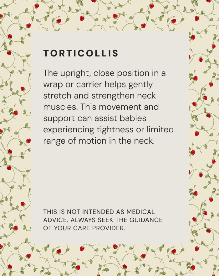 Text block titled "TORTICOLLIS" explaining neck muscle stretching benefits for babies, with floral strawberry patterned background.