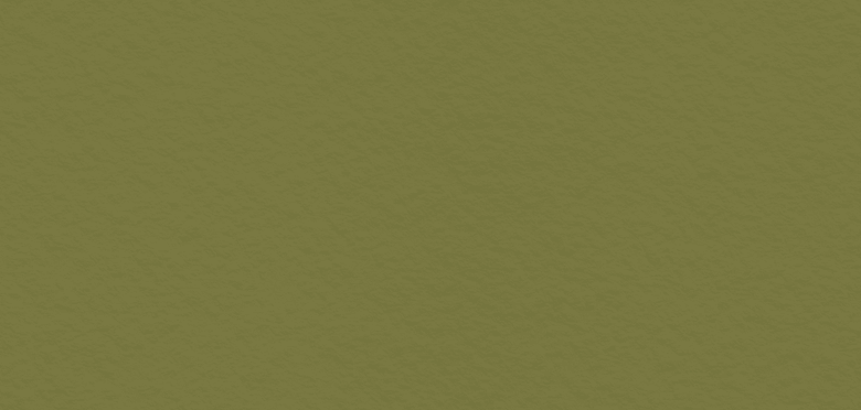 Solid olive green textured fabric or paper background