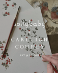 Artistic illustration with floral patterns and a brush, featuring the brand 'sollybaby' and 'Carleigh Courey'.